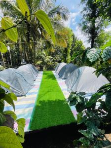 un jardín con césped verde y dos tiendas de campaña en EarthWise Camping, en Kalpetta