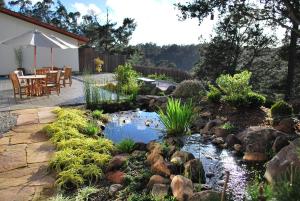 a garden area with a pool of water and plants at Chaminade Resort & Spa in Santa Cruz