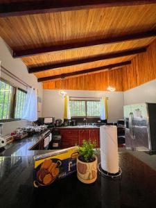 a kitchen with wooden ceilings and a kitchen island with a potted plant at La Casa de Piedra in Puerto Jiménez