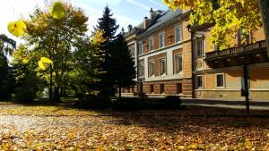 a building with leaves on the ground in front of it at Zámek Světlá nad Sázavou in Světlá nad Sázavou