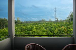 Gallery image of Cinnamon Forest in Beratuduwa