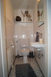 ein kleines Badezimmer mit Toilette und Waschbecken in der Unterkunft Ferienwohnung-im-Speicher in Meldorf + 21 Fotos