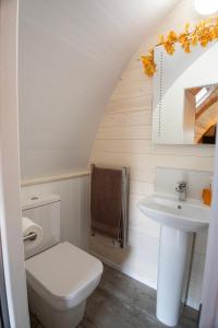 a bathroom with a toilet and a sink at Westfield House in Gargrave