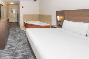 a bedroom with a large bed and a bath tub at Country Inn & Suites by Radisson, Smyrna - Atlanta Northwest in Smyrna