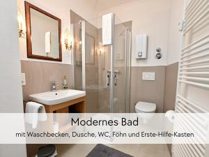 a bathroom with a shower and a sink and a toilet at GRÄFIN MARTHA MARIA - Apartment in der historischen Hinterburg in Schlitz - mit Aufzug, Parkplatz, E-Ladestation & Garten - Fulda, Schotten, Bad Hersfeld 25-30 Min in Schlitz