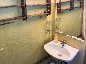 a bathroom with a sink and a mirror at 3 person holiday home in Frei-By Traum in Frei