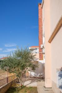 un edificio con un árbol al lado de un edificio en Andrije Buvine Apartments, en Zadar