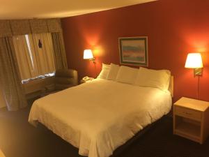 A room at Americas Best Value Inn - Garden City