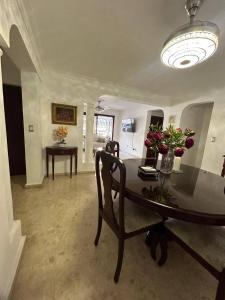 TV a/nebo společenská místnost v ubytování Cozy apartment in Piantini city center