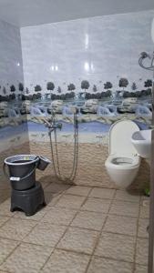 een badkamer met toilet en wastafel bij 2 BHK Huge House on 1st Floor in Marwad