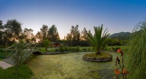 オルムエにあるOlmue Natura Lodge & Spaのギャラリーの写真 +57枚の写真