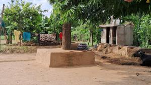 een koe die onder een boom naast een boom zit bij Shiv sanhay rural homestay in Karwi