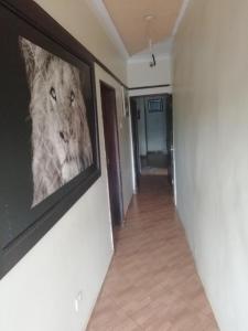 カンパラにあるWomen massage and guest houseの壁にコアラの絵が飾られた廊下
