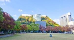 a park with a hill with trees and buildings at Hakata Marine Hotel in Fukuoka +14 photos