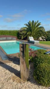 a swimming pool in the middle of a yard at Halekulani Devon Homestay in Torquay