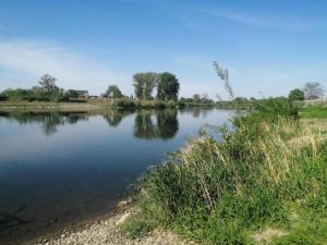 a body of water with trees in the background at Duplex Apartment in the shopping street of Maasmechelen in Maasmechelen