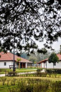 a park with a building and a bench and trees at Ceglédi Apartmanpark & Kemping in Cegléd