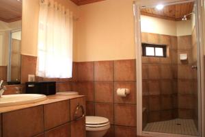 a bathroom with a shower and a toilet and a sink at Fairways Resort Drakensberg in Drakensberg Garden