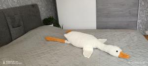 En eller flere senge i et værelse på Tilava kaksio Jussilankadulla