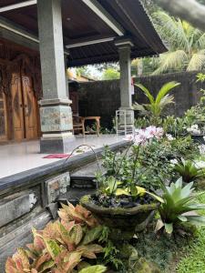 weranda z kwiatami i roślinami w obiekcie Cucu House w mieście Ubud
