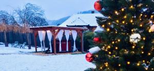 MátramindszentにあるMátrai pincés udvarの雪中のガゼボ前のクリスマスツリー