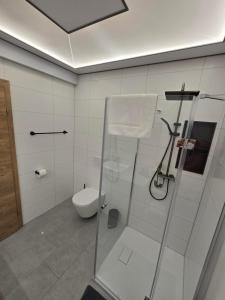 a bathroom with a shower and a toilet at Ländle Lodge, Ferienwohnung nahe Bregenz, Lindau und Bodensee in Hohenweiler
