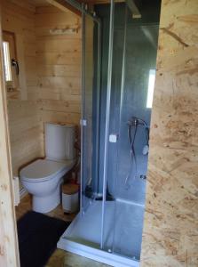 a bathroom with a toilet and a glass shower at Le chalet des Sarteaux in Ville-sur-Lumes