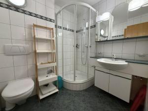 a bathroom with a shower and a toilet and a sink at Salute 105 in Leukerbad +42 photos