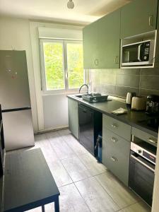La cuisine est équipée de placards verts, d'un évier et d'un four micro-ondes. dans l'établissement Renovated 3-Bedroom Apartment near UTT, à Troyes