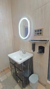 a bathroom with a sink and a mirror and a toilet at ZM Homestay live like locals and feel Indian culture and traditions in Tājganj