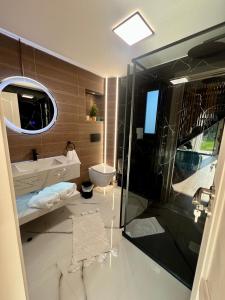 a bathroom with a shower and a sink and a toilet at Zago Alpin in Câmpulung Moldovenesc