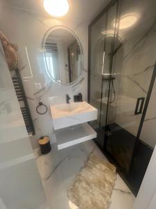 a bathroom with a sink and a shower and a mirror at Zago Alpin in Câmpulung Moldovenesc