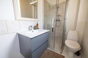 a bathroom with a toilet and a sink and a shower at LL Properties - Spacious Historic Home in Akureyri