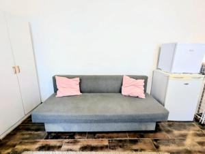 un canapé avec deux coussins roses dans une pièce avec un réfrigérateur dans l'établissement Appart calme et confortable Père Lachaise, à Paris 2 autres photos