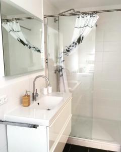 un bagno con lavandino e doccia di Ferienhaus Zur Mainpforte a Magonza