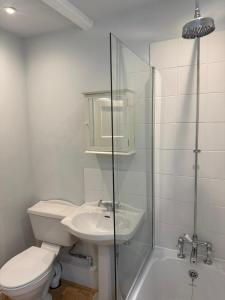 ein Badezimmer mit Toilette, Waschbecken und Dusche in der Unterkunft Pretty 2 Bedroom Cottage in Skirmett with Parking in Turville + 15 Fotos