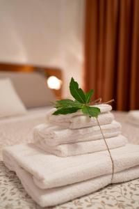 Postel nebo postele na pokoji v ubytování B&B Sentiero del Ciolo