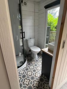 a bathroom with a toilet and a sink at Caban y Castell in Moffat
