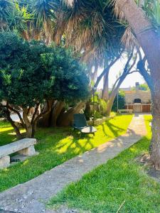 a park with a laptop sitting on a bench under palm trees at Terra Di Mare in Vignacastrisi +28 photos
