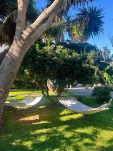 a hammock under a palm tree in a yard at Terra Di Mare in Vignacastrisi