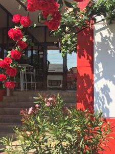 a bunch of red flowers in front of a building at Hotel Plaza in Craiova