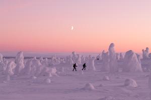 twee mensen lopen in een met sneeuw bedekt veld met ijssculpturen bij Lapland Aurora Riverside in Raiskio +64 foto's