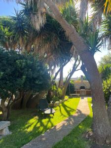 a bench sitting under palm trees in a park at TERRA DI MARE LOC. TURISTICA in Vignacastrisi