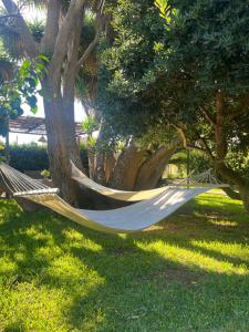 a hammock hanging from trees in a yard at TERRA DI MARE LOC. TURISTICA in Vignacastrisi +20 photos