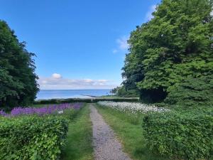 a path through a field of flowers and the ocean at 8 person holiday home in Nysted-By Traum in Nysted +17 photos