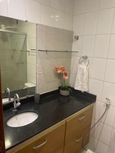 een badkamer met een wastafel en een spiegel bij Apollos Garden in Belém