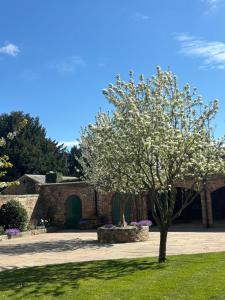 a tree in the grass in front of a building at Courtyard House- Luxury Holiday House with floodlit Tennis court - BRAND NEW in Ainderby Steeple