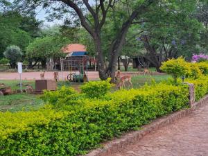 Afbeelding uit fotogalerij van Villa Rosa Guest Farm in Eersbewoond