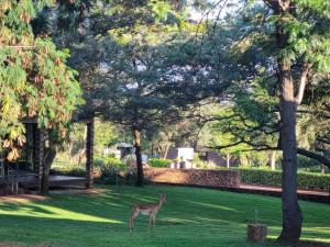 Afbeelding uit fotogalerij van Villa Rosa Guest Farm in Eersbewoond