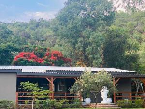 Afbeelding uit fotogalerij van Villa Rosa Guest Farm in Eersbewoond +65 foto's